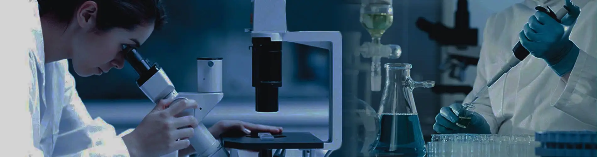 front image - lab reports