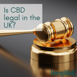 is cbd legal in the uk - cbd knowledge centre and blog posts