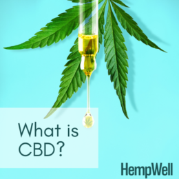 what is cbd - cbd knowledge centre and blog posts