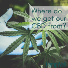 where do we get our cbd from - cbd knowledge centre and blog posts