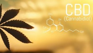 cbd for depression